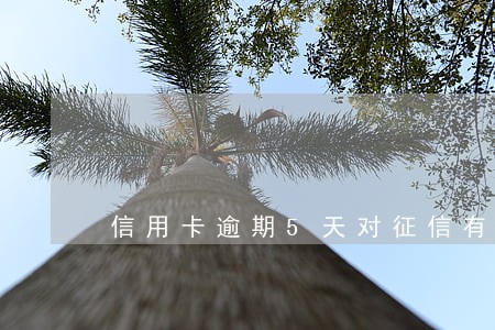 信用卡逾期5天对征信有影响吗 信用卡逾期5天对征信有影响吗