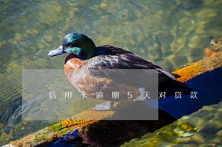信用卡逾期5天对贷款 信用卡逾期5天对贷款