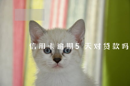 信用卡逾期5天对贷款吗 信用卡逾期5天对贷款吗