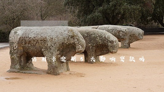 信用卡逾期5天影响贷款吗