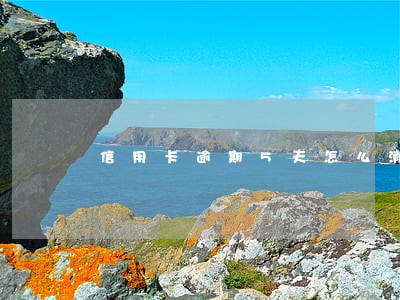 信用卡逾期5天怎么消除记录 信用卡逾期5天怎么消除记录