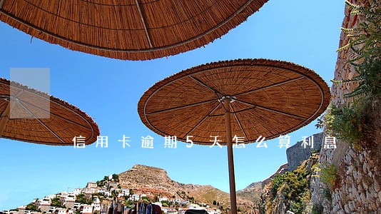 信用卡逾期5天怎么算利息 信用卡逾期5天怎么算利息