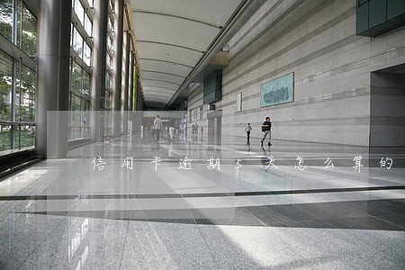 信用卡逾期5天怎么算的