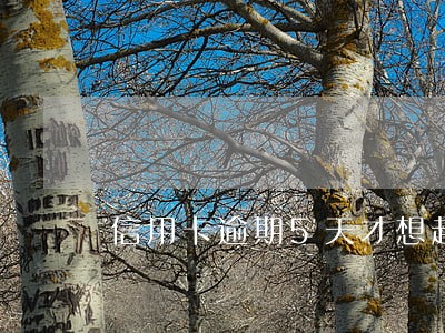 信用卡逾期5天才想起来