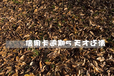 信用卡逾期5天才还清