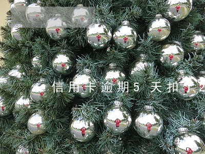 信用卡逾期5天扣了210 信用卡逾期5天扣了210