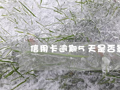 信用卡逾期5天是否影响金条 信用卡逾期5天是否影响金条