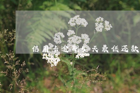信用卡逾期5天最低还款后果