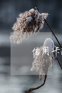 信用卡逾期5天有事么