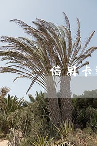 信用卡逾期5天犯法吗 信用卡逾期5天犯法吗