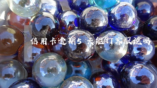 信用卡逾期5天能打客服说吗 信用卡逾期5天能打客服说吗