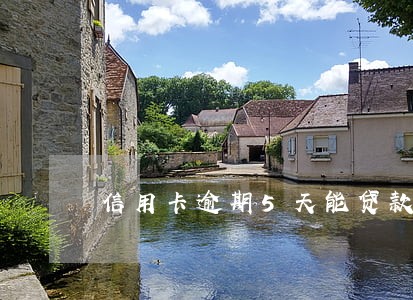 信用卡逾期5天能贷款吗 信用卡逾期5天能贷款吗