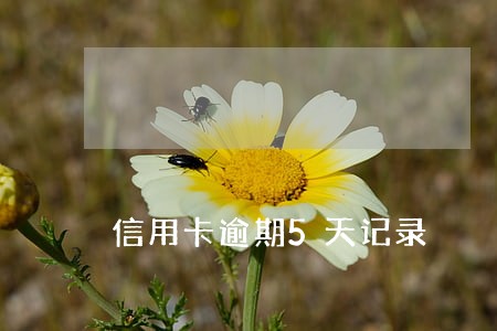 信用卡逾期5天记录 信用卡逾期5天记录