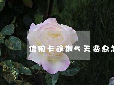 信用卡逾期5天费息怎么计算 信用卡逾期5天费息怎么计算