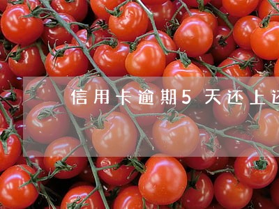 信用卡逾期5天还上还能用 信用卡逾期5天还上还能用