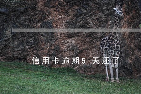 信用卡逾期5天还了 信用卡逾期5天还了