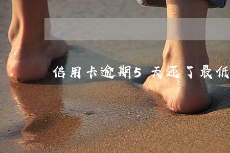 信用卡逾期5天还了最低还款 信用卡逾期5天还了最低还款