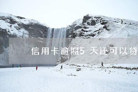 信用卡逾期5天还可以贷款吗 信用卡逾期5天还可以贷款吗