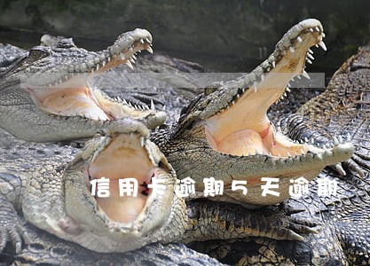 信用卡逾期5天逾期