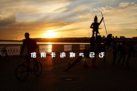 信用卡逾期5已还 信用卡逾期5已还