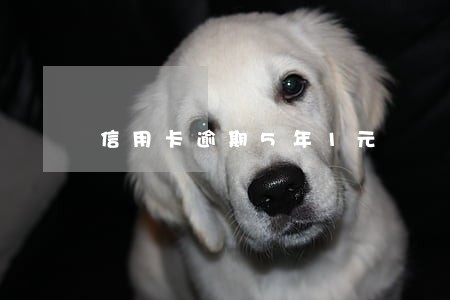 信用卡逾期5年1元 信用卡逾期5年1元