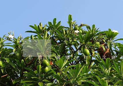 信用卡逾期5年2次逾期 信用卡逾期5年2次逾期