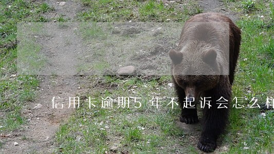 信用卡逾期5年不起诉会怎么样 信用卡逾期5年不起诉会怎么样