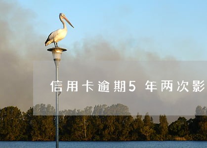 信用卡逾期5年两次影响房贷吗 信用卡逾期5年两次影响房贷吗