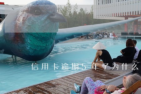 信用卡逾期5年了为什么还有 信用卡逾期5年了为什么还有