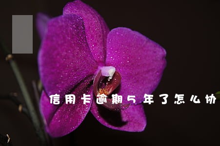 信用卡逾期5年了怎么协商减免