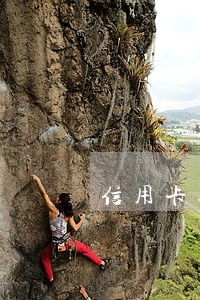 信用卡逾期5年了怎么清零 信用卡逾期5年了怎么清零