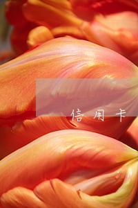 信用卡逾期5年了没还会怎么样 信用卡逾期5年了没还会怎么样