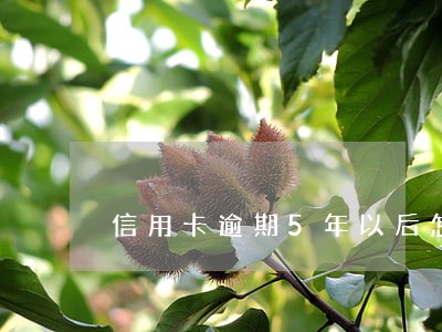 信用卡逾期5年以后怎么算起