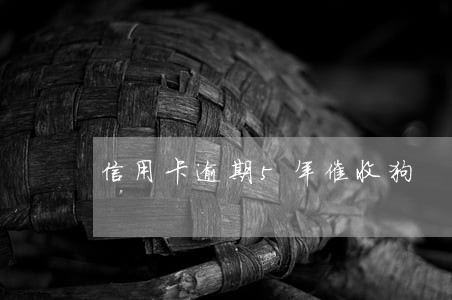 信用卡逾期5年催收狗