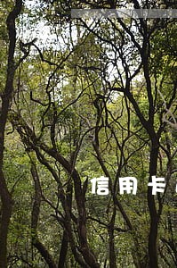 信用卡逾期5年内有6次 信用卡逾期5年内有6次