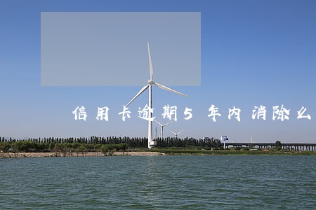 信用卡逾期5年内消除么