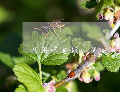 信用卡逾期5年利息多少钱