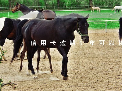 信用卡逾期5年可以协商处理吗 信用卡逾期5年可以协商处理吗