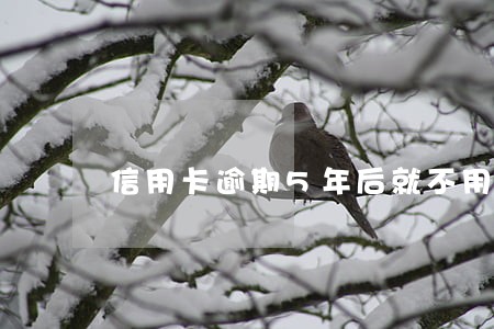 信用卡逾期5年后就不用还了吗