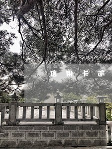 信用卡逾期5年后就没了吗