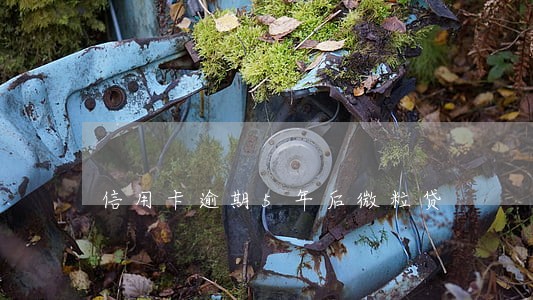 信用卡逾期5年后微粒贷 信用卡逾期5年后微粒贷