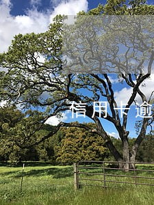 信用卡逾期5年后还能办理吗 信用卡逾期5年后还能办理吗