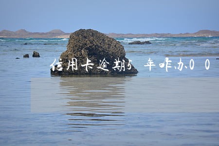 信用卡逾期5年咋办00 信用卡逾期5年咋办00