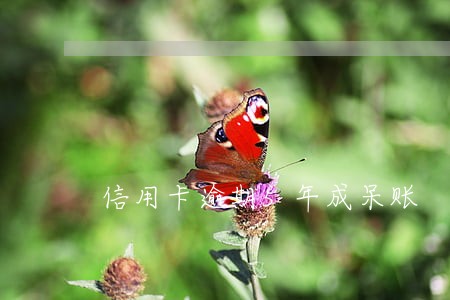 信用卡逾期5年成呆账