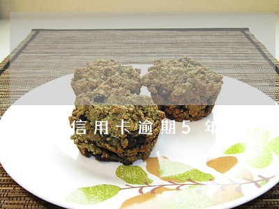 信用卡逾期5年无力偿还最新规定 信用卡逾期5年无力偿还最新规定