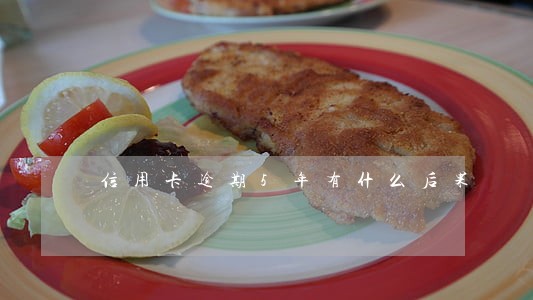 信用卡逾期5年有什么后果 信用卡逾期5年有什么后果