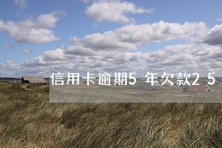 信用卡逾期5年欠款2500