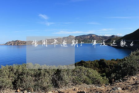信用卡逾期5年没还款6千