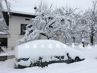 信用卡逾期5年该怎样还 信用卡逾期5年该怎样还