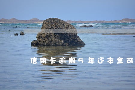 信用卡逾期5年还本金可以分期吗